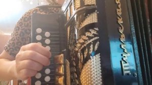 Песня Танька - красавица, на гармони, цифры 89277382068