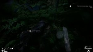 ★Green Hell★ ➜ ❸ ◄В поисках молинерии►