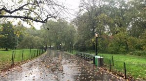 Two Hours of Rain in Central Park