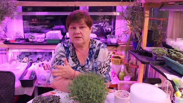 НЕТ СЛОВ, ОДНИ ЭМОЦИИ! ЭТО ЖЕ НАДО ДО ТАКОГО ДОДУМАТЬСЯ! 19.02.20