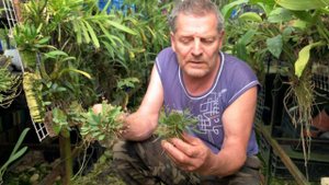 #Владимир #Маркин #Орхидеи
У меня в гостях Орхолюбитель.... Мини сюжеты....2