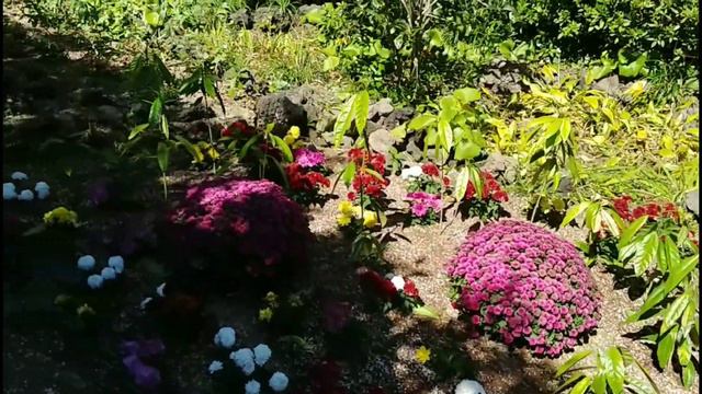 CAMELLIA HILL IN JEJU ISLAND,KOREA | 카멜리아 힐🌺 (Part 4) | Just Ecel Vlog смотреть онлайн