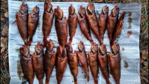 Копчение окуня на Новогодние праздники