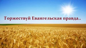 Торжествуй Евангельская правда..
