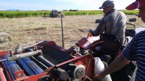 китайский мини пресс подборщик 9YK8050! мини трактор янмар 17 сил!первый покос!