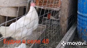 Окучивание картофеля мотоблоком. Обкосил обочину дороги.
