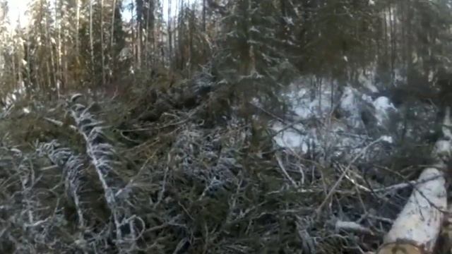 ЗАГОТОВКА ЛЕСА В САМОМ РАЗГАРЕ, КУБАТУРА В ГОРУ смотреть онлайн