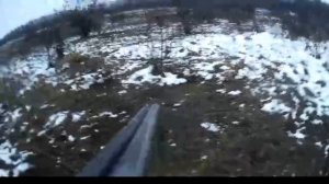 Охота с ягдтерьером , норная охота на лису, Hunting with a toy terrier