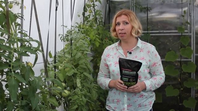 Как повысить плодородие своей почвы?Дачные сезоны с Мариной Рыкалиной смотреть онлайн