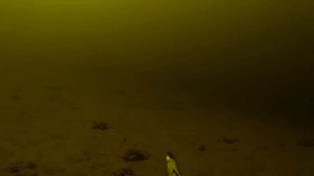 БаХва in the Engels city. Закрытие сезона  сбор подвохов