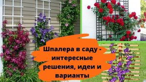 Шпалера в саду - интересные решения, идеи и варианты