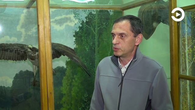 Пензенская область стала самою южной точкой обитания бурых медведей смотреть онлайн