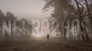 Страшные истории на ночь про заброшки ОТ ТЬЕРЕ РАУША - ЛИМИНАЛЬНЫЕ ПРОСТРАНСТВА Ужасы Мистика SCP