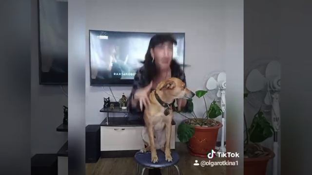 Корова по имени Му))) смотреть онлайн