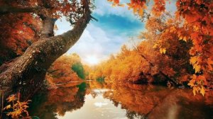 Музыка для глубокого сна.Звуки природы.