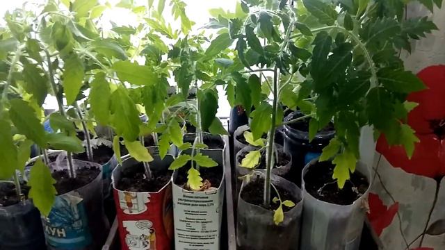 Апрель. Погода в Сибири. смотреть онлайн