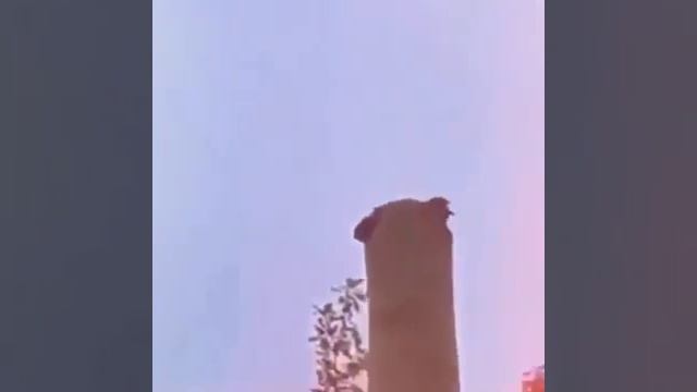 Ворона репер смотреть онлайн