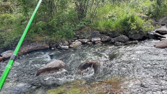 Кольский полуостров 2022-07-24