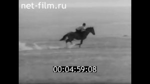 1982г. п. Ут Сала. конный завод. директор Куликов Н.П. Калмыкия