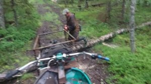 На каракате по болоту! В поисках морошки и грибов!