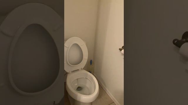 533 Mercer Street Albany, NY 12208 3 beds 2 baths 1,608 SF смотреть онлайн