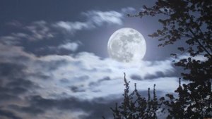 Так зачем ехать на край земли ....