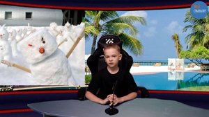 Метеорит случайно прибил козу