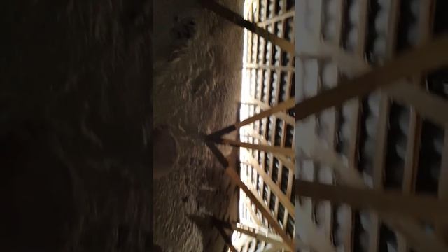 100% Утепление крыш в Алмате,Таразе и Шымкенте пенобетоном, 87772178000 смотреть онлайн