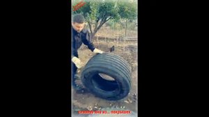 Самый бюджетный вариант сливной ямы из покрышек, шин или скатов своими руками