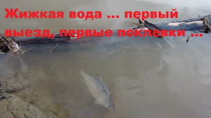Рыбалка в Нижневартовске 8-9 мая 2022г.