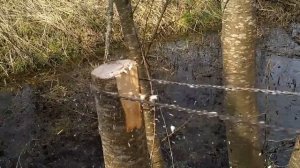 Ручная пила из цепи для бензопилы \ Chainsaw chain saw