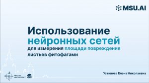 Использование нейронных сетей для измерения площади повреждения листьев фитофагами