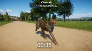 Most Reliable Runner Animal in Big Cats Category at 400 meter | Big Cats Race Battle in Planet Zoo