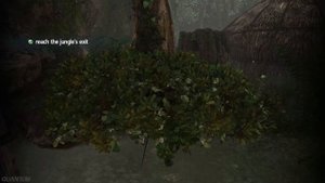 Assassin's Creed Black Flag: Kill Julien du Casse - 100% Sync - Target Only