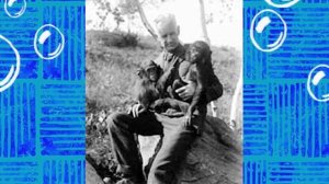 ЖУТКАЯ ТАЙНА БЕЛКИ СЭНДИ ЧИКС ! СПАНЧ БОБ КВАДРАТНЫЕ ШТАНЫ ТЕОРИИ И СЕКРЕТЫ SPONGEBOB