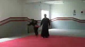 Hapkido TaeYang Kwan - verde - 21