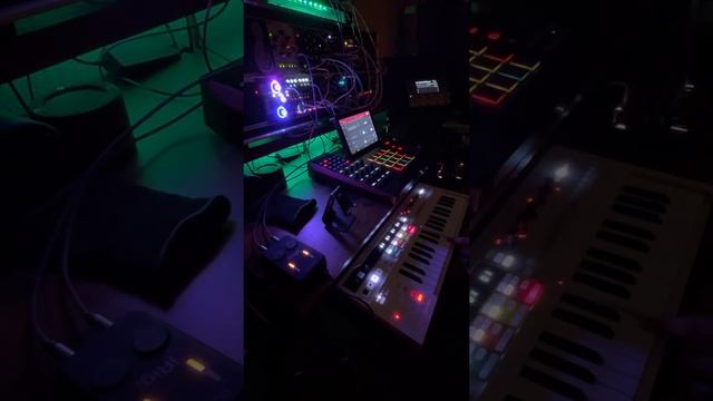 Neural DSP Quad Cortex as a Synth Ambient Machine