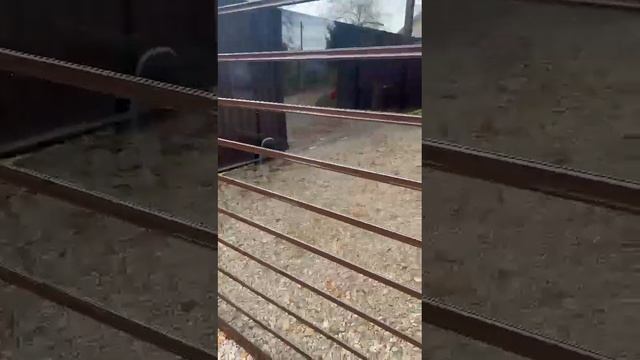 Навес с прозрачными рулонными воротами.