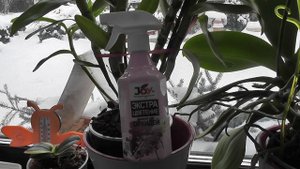 Орхидеям даешь Элексир. Joy(Elixir with chitosan Orchid)