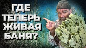 Новый адрес Живой Бани.