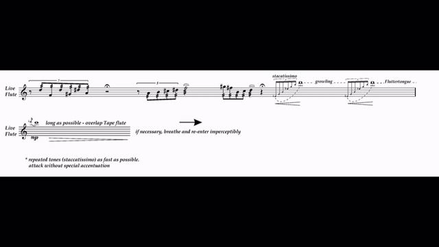 "Hkafil" for flute and Processed Flute [w/ score] - Shai Cohen смотреть онлайн