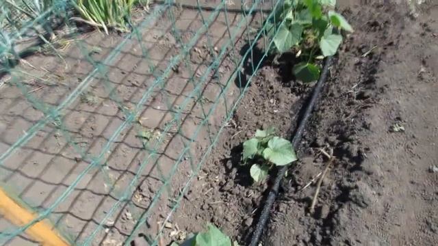 Бюджетная поливалка (часть 2) смотреть онлайн