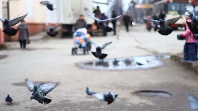 RCinemaPRO - Мы любим краснокамск смотреть онлайн