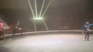 Воронежский цирк 2022