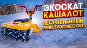 Универсальный электроснегокат для всей семьи!