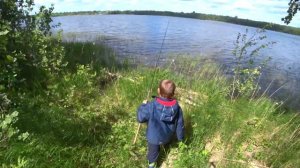 Нашли интересное место на острове озера Меглино.