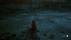 МАЛЕНЬКИЙ КОТИК В БОЛЬШОМ ГОРОДЕ / STRAY ПРОХОЖДЕНИЕ / ИГРА ПРО КОТА / #1