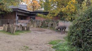 Зоопарк в городе Крефельд, Германия.