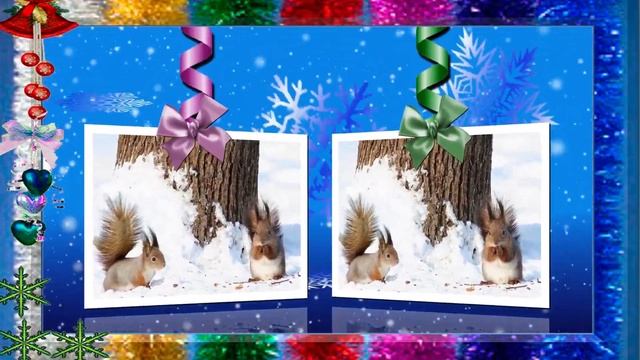 Жизнь в зимнем лесу смотреть онлайн