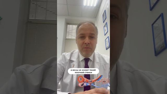 А Вы знали, что у каждого из нас есть второе сердце? смотреть онлайн